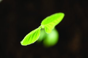 风险控制创新应用案例集锦